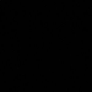 Meet your Posher, Rabia